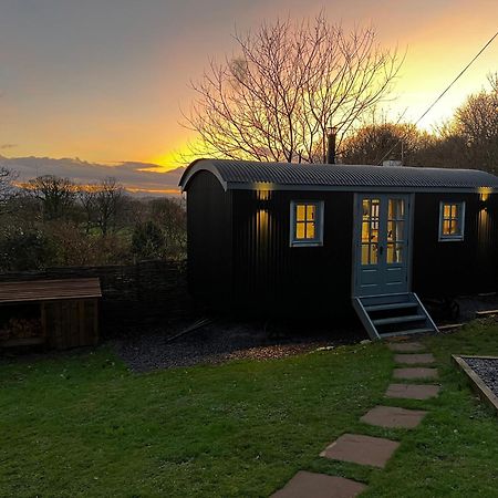 Mountain View Shepherd'S Hut For 2 Adults, 1 Dog Villa Llangoed Exteriör bild